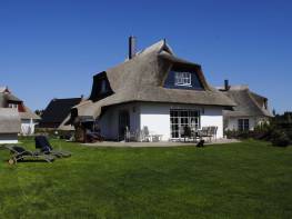 Vivamus nisl quam volutpat